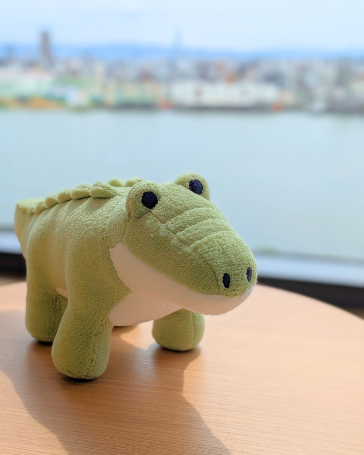 Wasabi Caiman No.3