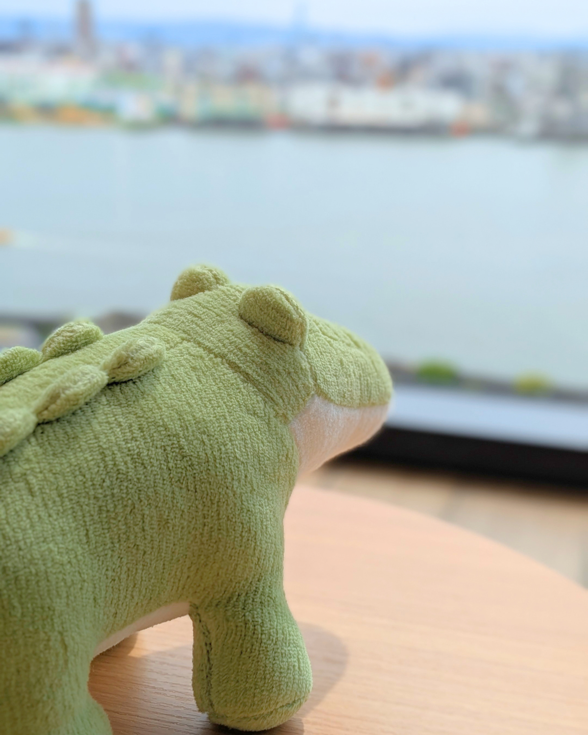 Wasabi Caiman No.3