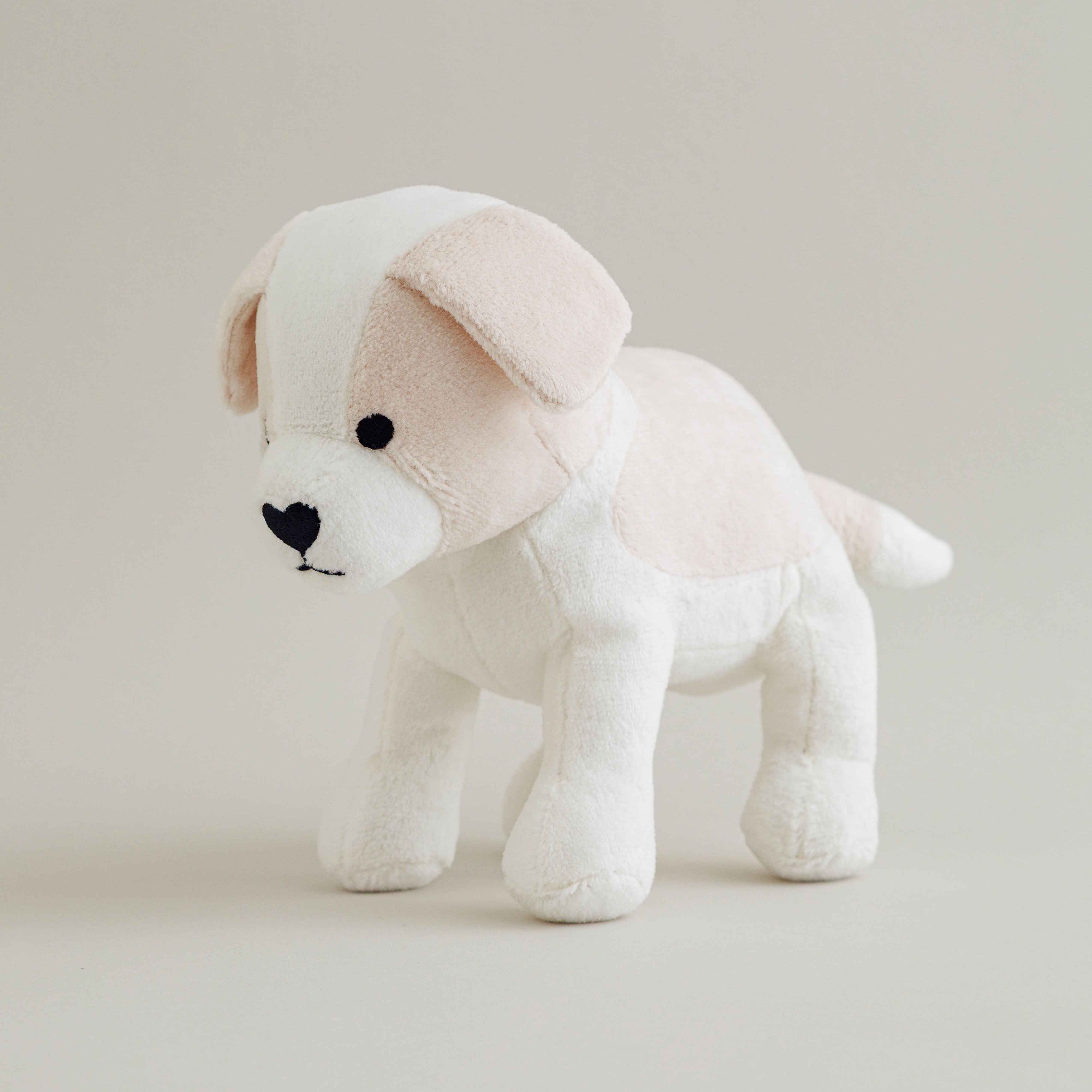 Mochi Puppy No.3